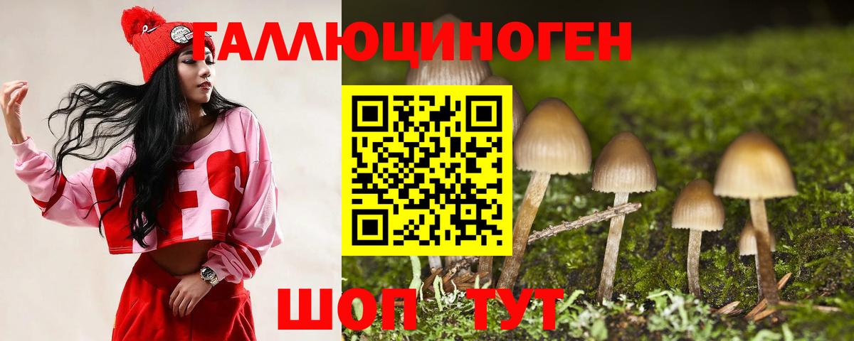 Псилоцибиновые грибы GOLDEN TEACHER  Вход с VPN  Ливны  Галлюциногенные грибы мухоморы 